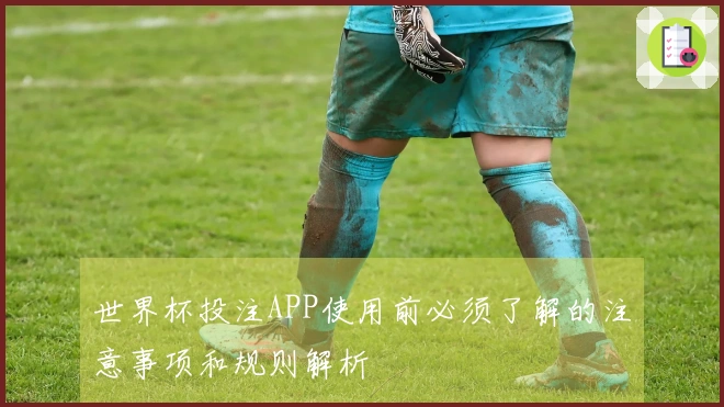 世界杯投注APP使用前必须了解的注意事项和规则解析