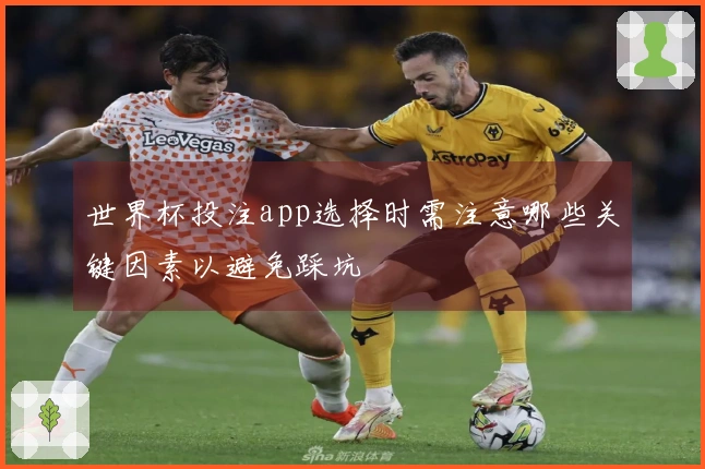 世界杯投注app选择时需注意哪些关键因素以避免踩坑