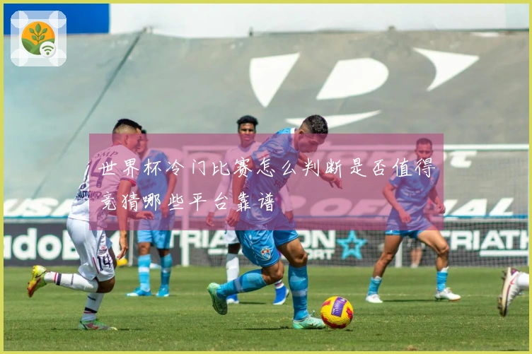 世界杯冷门比赛怎么判断是否值得竞猜哪些平台靠谱